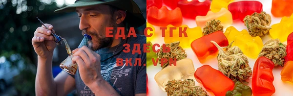 мет Алексин