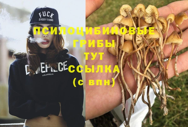 а пвп мука Алзамай