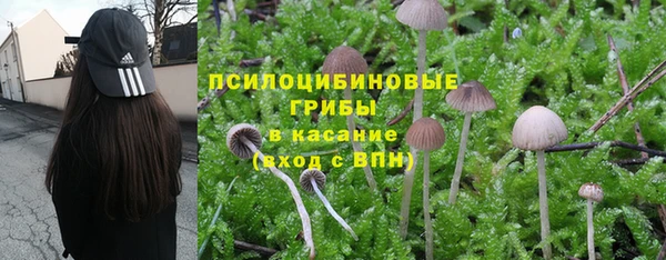 а пвп мука Алзамай