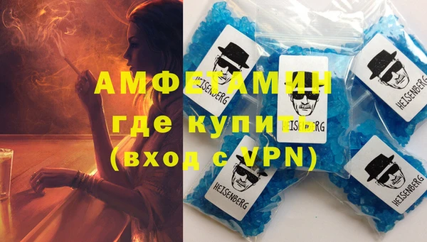 мет Алексин