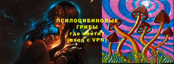 мет Алексин
