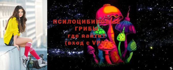 прущие крисы Медвежьегорск